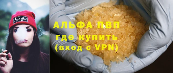 сатива Покачи