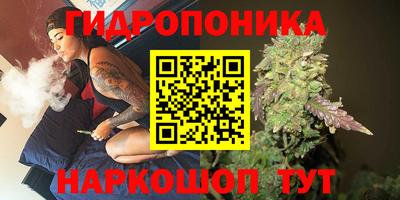 прущие крисы Гусев