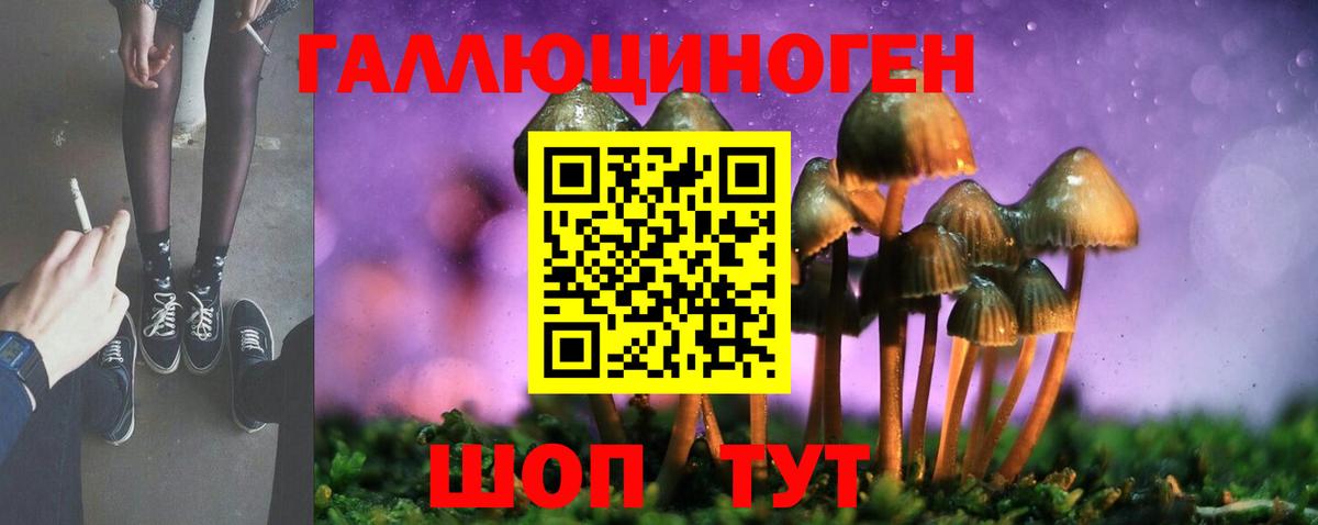 Псилоцибиновые грибы Cubensis  Вход с VPN  Новоалександровск 